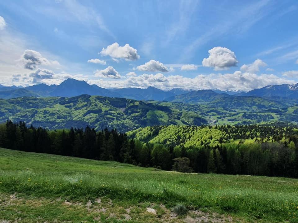 Holzhaus "Zum Schwarz'N" Leilighet Aurach am Hongar Eksteriør bilde
